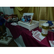 Expo Proyectos y Emprendimientos Empresariales 2017
